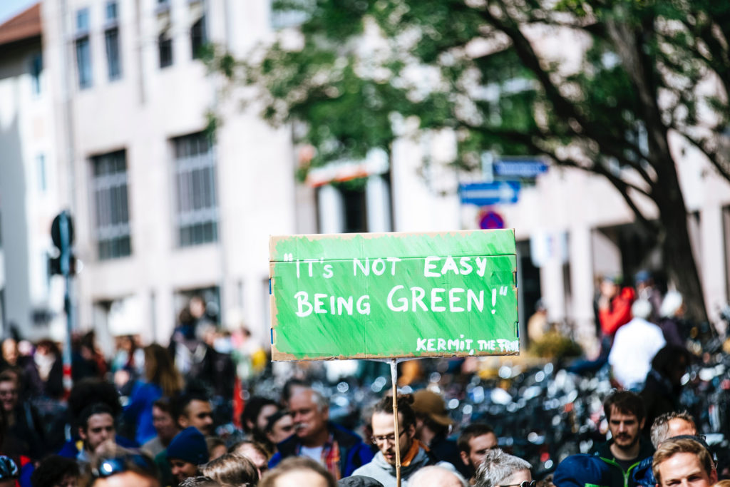 Aktywizm - nie łatwo jest być zielonym 